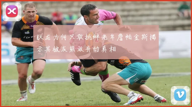 狄龙为何只敢挑衅老年詹帕金斯揭示其被灰熊放弃的真相