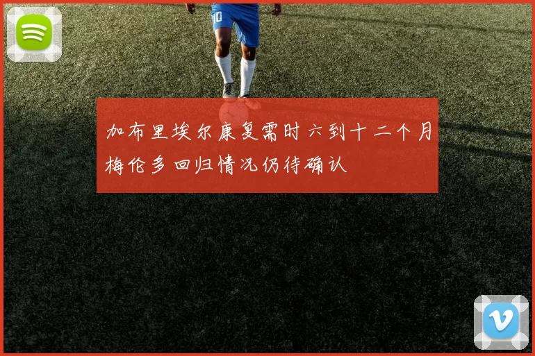 加布里埃尔康复需时六到十二个月梅伦多回归情况仍待确认