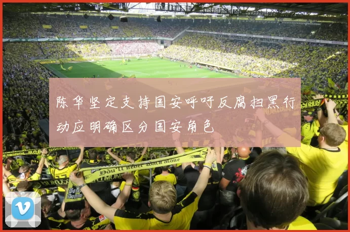 陈华坚定支持国安呼吁反腐扫黑行动应明确区分国安角色